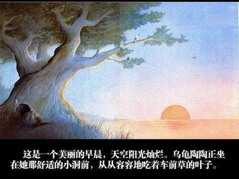 犟龟 (02),绘本,绘本故事,绘本阅读,故事书,童书,图画书,课外阅读